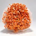 Orange preserved baby's breath dried flower bouquet for home decor and gifts - Orange