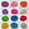 Colorful dried gypsophila flower bouquets for wedding home decoration and DIY craft making. - Customized