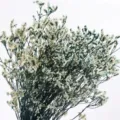 Natural dried flower bouquet for home decoration, elegant rustic floral arrangement decor. - Long Bouquet 003