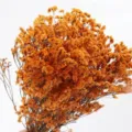 Orange dried flowers bouquet for home decoration, natural preserved floral arrangement for vase. - Long Bouquet 004