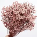 Natural dried baby's breath flowers bouquet for home decoration and floral arrangements. - Long Bouquet 005