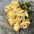 Natural dried yellow rose bouquet, large head preserved flowers for DIY craft gift making. - Ocean Song (Purple Tone)