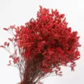 Red Dried Flowers Bunch Natural Statice Flowers for Home Decor and Floral Arrangement - Long Bouquet 007