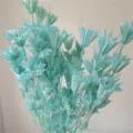 Turquoise dried star anise flower, unique vintage floral arrangement DIY material bouquet. - Teal