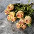 Natural dried roses bouquet bulk large head preserved flowers for DIY craft home decor gift - Titanic