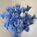 Blue dried star anise flowers bouquet for retro DIY floral arrangement and home decor. - Blue
