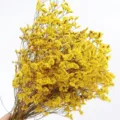 Natural yellow dried flowers bouquet variant, perfect for home decor and floral arrangement design. - Long Bouquet 008