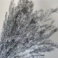 Silver dried flowers bunch for home decoration indoor plant aesthetic floral decor - Silver