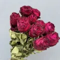 Natural dried red rose bouquet for DIY floral crafts, home decoration, and romantic gifts. - Flame