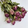 Dried rose flowers bunch purple blooms with green leaves for DIY floral arrangement decor. - Glory Big Head