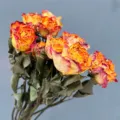 Dried preserved rose bouquet vintage orange floral material diy home decor flower arrangement - Carola