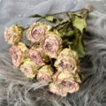 Dried rose flowers bouquet, vintage pink preserved flowers for DIY crafts and home decor. - Miss Zhu