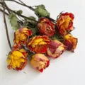Dried big head roses variant, yellow and red gradient floral material for DIY bouquets. - No 5 Perfume Bottle