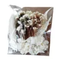A5 pressed dry flower material pack for DIY crafts, resin art, and handmade scented candles. - Starry Field Yu