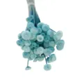 Blue dried button flowers bouquet, perfect for DIY crafts, home decor and floral arrangements. - 10 Brushes / Blue