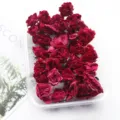 Dried rose flower buds in clear box for epoxy resin craft candle DIY making material. - Dark Red Bubble
