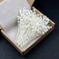 White dried baby breath flowers gypsophila dried floral material for DIY crafts gift box - Dream Star 50 Stems