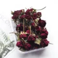 Natural dried mini roses for DIY epoxy resin crafts, aromatherapy candles, and photo frame decor. - Scarlet Bubble