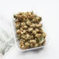 Close-up detail of natural dried rose buds in clear box, perfect for DIY resin craft use. - Starlight Bubble