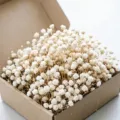 Mini dried flowers preserved babys breath in box for wedding party home room decor setup - Beige 100 Stems