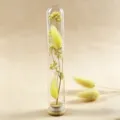 Mini Glas Reagenzglas Trockenblumen konservierte Schleierkraut Wunschflasche Geschenk. - Gelber Hasenschwanz Stern Wunsch