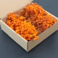 Mini dried Gypsophila flowers in a box, vibrant orange color, ideal for wedding party decor. - Orange 100 Stems