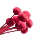 Red mini fluffy ball flower dried flowers DIY handmade material cute floral craft decor SKU - 10 Brushes / Red