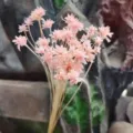 Pink dried flower bouquet natural preserved flowers pastoral home decor photography props - 30 Brushes / Light Pink