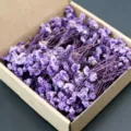 Purple dried flowers gypsophila DIY craft material for party gifts and home decoration - Light Purple 50 Stems