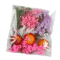Pressed dried flowers pack for DIY craft resin art candles photo frame colorful assorted - Autumn