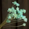 Natural dried flowers small daisies pastoral home decor photography props rustic everlasting bouquet - 30 Brushes / Light Blue