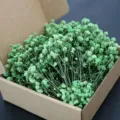Preserved green baby's breath dried flowers mini bouquet for wedding and party home decor. - Green 100 Stems