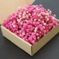 Pink dried baby's breath flowers in kraft paper box for DIY craft party decoration gifts. - Pink 100 Stems