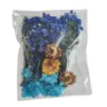 Dried flowers pressed flower material pack for DIY craft resin epoxy candle making decor. - Denim Blue