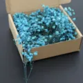 Blue preserved baby's breath dry flowers mini bouquet for wedding home party decor. - Blue 100 Stems