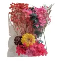 Bagged dried flowers preserved flower material kit for DIY handmade crafts and decor. - Mianman on Branch