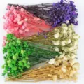 Colorful dried baby breath flowers bouquet multi color DIY craft set variant option for decor - Mixed Color 100 Stems