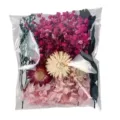 Bagged pressed dried flowers set for DIY craft, resin, candles, and handmade decor. - Orange Vein 1