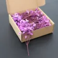 Mini dried baby's breath flowers purple gypsophila for wedding party decor box packed - Purple 50 Stems
