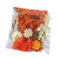 Pressed dried flowers pack for DIY resin crafts, epoxy molds, candle making, and art. - Sunny Day