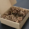 Brown dried baby's breath flowers in a craft box, perfect for DIY gifts and decor. - Coffee 50 Stems