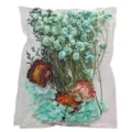 Pressed dry flowers pack for DIY crafts resin candle art phone case decoration multi - Grain Rain Rose