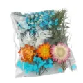 Bagged dried pressed flowers mixed DIY material pack for resin crafts and decor items - Azure