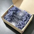 Purple dried gypsophila flowers box set for DIY crafts, party gifts and home decorations. - Blue Black 50 Stems