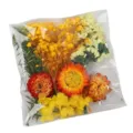 Mixed pressed dried flowers pack for DIY craft resin candle making frame decor - Spring Color
