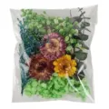 Mixed dried flowers pressed flower material pack for DIY crafts, resin art, and candles. - Cherry Blossom Glaze