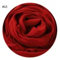 Roter Chiffon Stoff Nahaufnahme Textur Detailaufnahme für Variante Farbmuster Nummer dreiundvierzig - #43 Rostrot