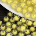 Dettaglio perla in acrilico con guscio trasparente e nucleo giallo per creazioni fai da te. - 8mm / Giallo