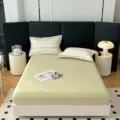 Puur katoen lichtgroen hoeslaken met gestreepte kussenslopen, modern slaapkamerbeddengoed. - 150x200cm / Stijl-Groen