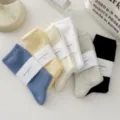 Detailed flat lay view of stylish Japanese ribbed crew socks in assorted creamy colors display. - Mixed Colors